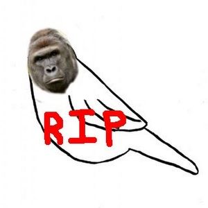 Meet your Posher, George